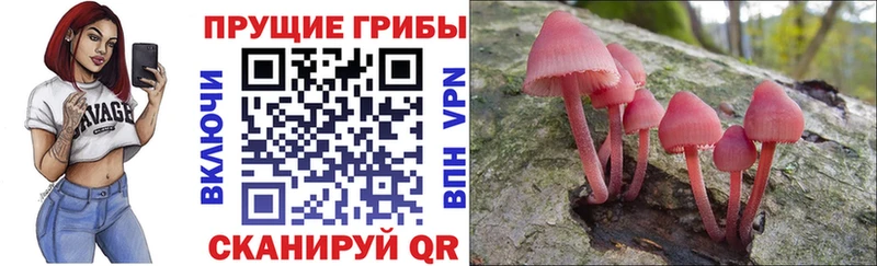 Псилоцибиновые грибы ЛСД Купить Нижние Серги